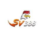 Profile picture of SV388