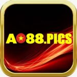 Profile picture of AO88