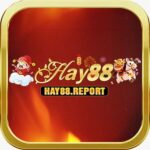 Profile picture of HAY88