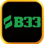 Profile picture of B33